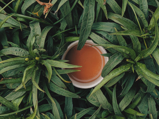 Exploring CBD Tea Benefits