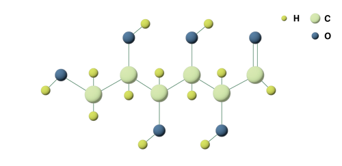 GLUCOSE