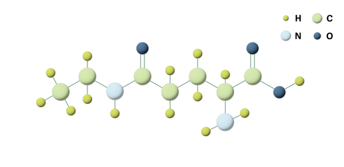 L-THEANINE