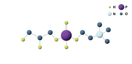 ALPHA-GPC