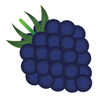 BLACKBERRY