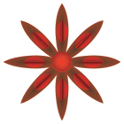 STAR ANISE