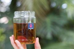 Hand holding glass of brewed Zest Tea with tea bag against green foliage background
