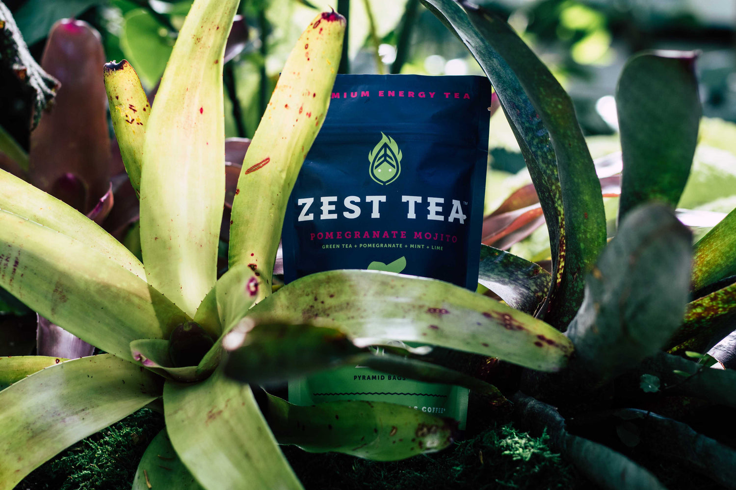 How to Find Keto Tea for Your Keto Diet