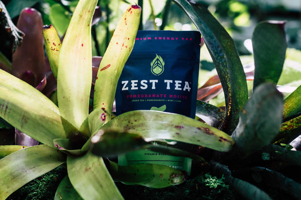 Zest Tea Pomegranate Mojito pouch nestled among tropical bromeliad plants
