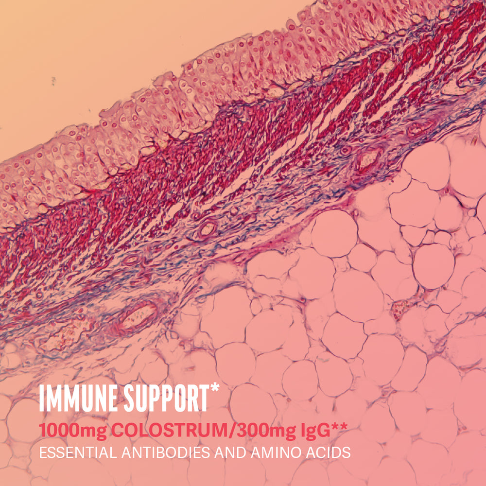 Microscope image representing immune support from colostrum gummies