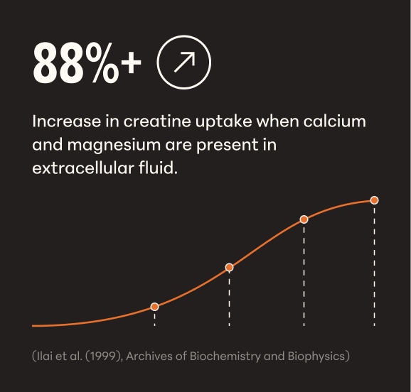 Creatine is one of the most studied supplements