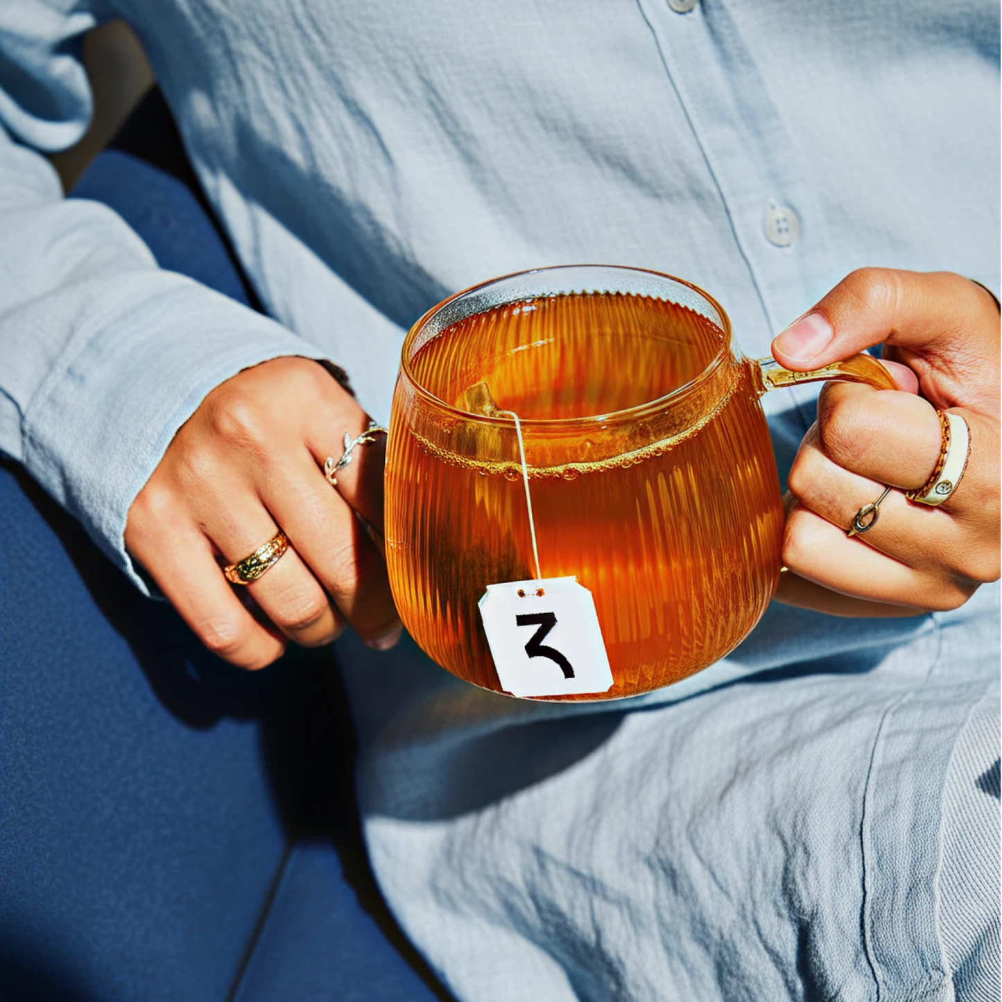 Pomegranate Mojito Tea Bags