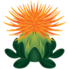 SAFFLOWER